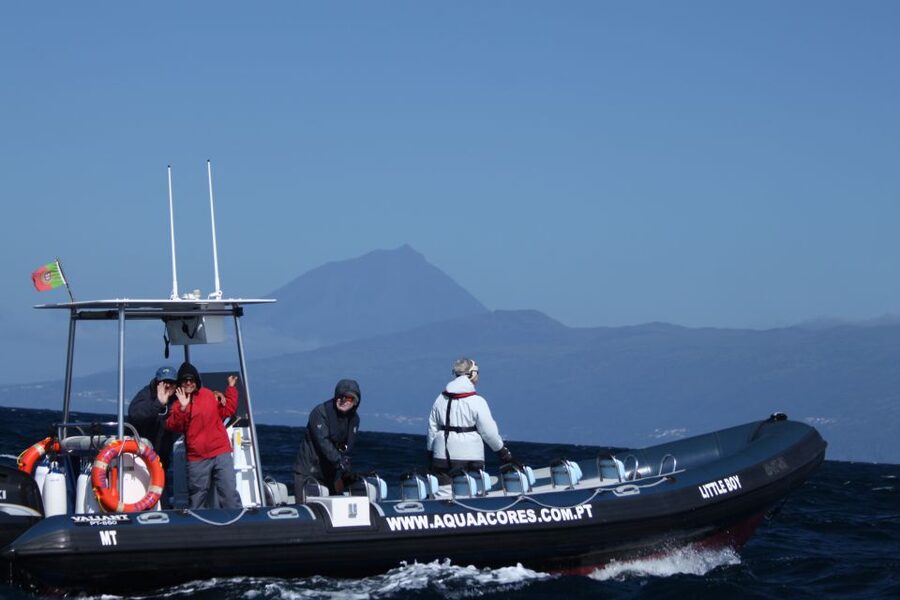 Pico Island: Azores Whale & Dolphin Watching on Zodiac Boat - The first view is Pico’s coast