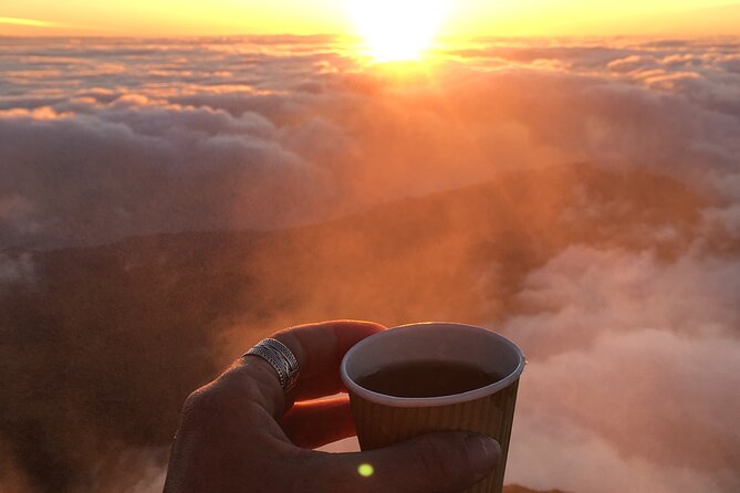 Pico Mountain: Climb the Highest Point of Portugal 2351m - Eight kilometers of volcanic rock