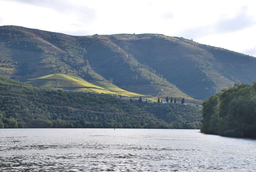 Pinhão: 2-Hour Rabelo Boat Tour with Audio Guide - The vineyards between Pinhão and Tua