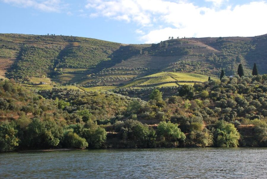 Pinhão: 2-Hour Rabelo Boat Tour with Audio Guide - The audio guide: useful, but prepare carefully