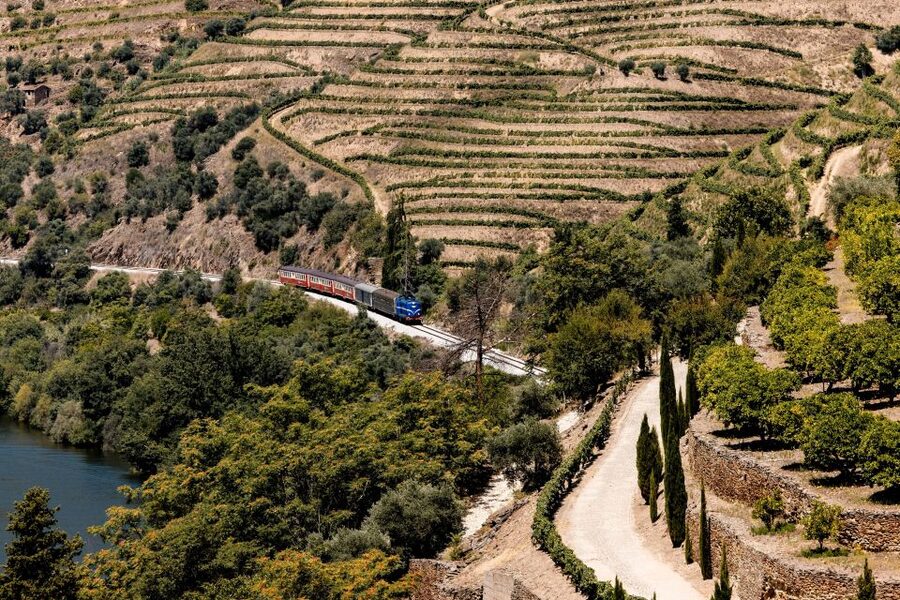 Pinhão: Douro River Boat Tour with Lunch - Lunch In A Traditional Restaurant