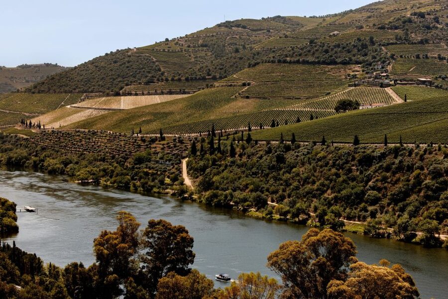 Pinhão: Douro River Boat Tour with Lunch - What The $80 Price Really Covers