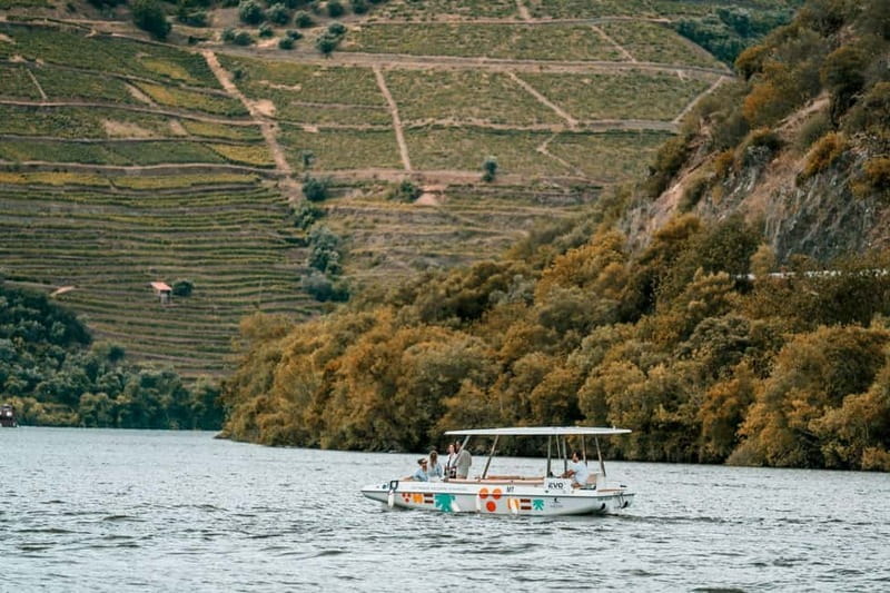 Pinhão: Douro River Solar Boat Tour with Wine Tasting - Practical strengths and small drawbacks