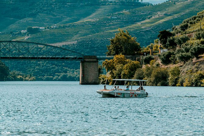 Pinhão: Electric Boat Experience 1h - Taste of Two Wines - A quiet way to meet the Douro