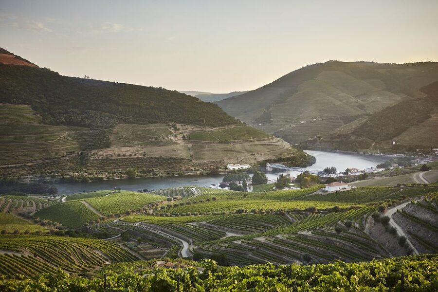 Pinhão: Quinta do Bomfim Visit and Tasting - Why Quinta do Bomfim feels different from a standard tasting