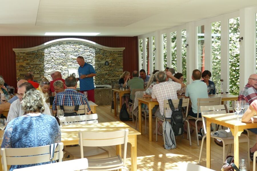 Pinhão: Quinta do Bomfim Visit and Tasting - Three walks through the Douro vineyards