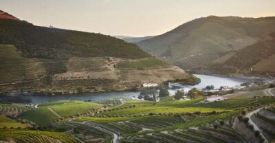 Quinta do Bomfim Visit and Tasting