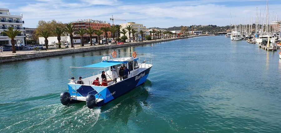 Ponta da Piedade: Half-Day Cruise with Lunch from Lagos - Practical packing advice for 3.5 hours at sea