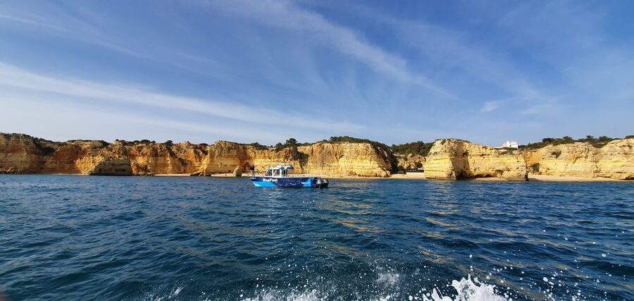 Ponta da Piedade: Half-Day Cruise with Lunch from Lagos - Who should book this experience