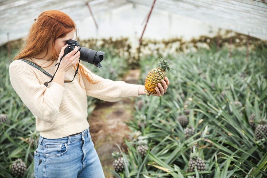 Ponta Delgada: Greenhouse Hot Tube with Pineapple Tour - Who will enjoy this most