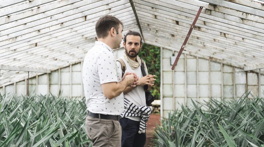 Ponta Delgada: Pineapple wine tasting and pineapple tour - The garden and the option to stay longer
