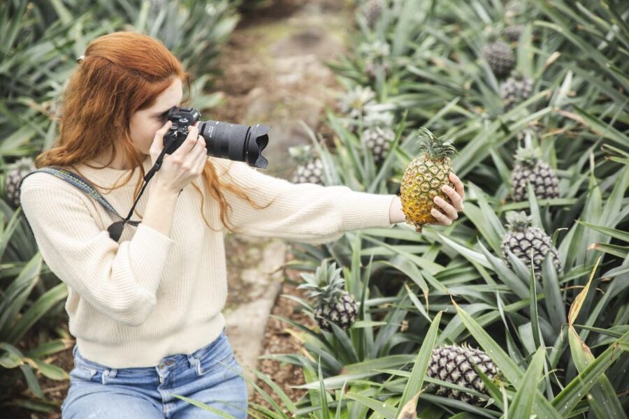 Ponta Delgada: Pineapple wine tasting and pineapple tour - Walking through the Herdade do Ananás greenhouses