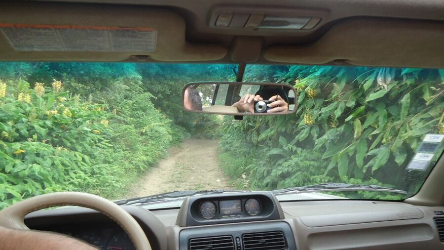 Ponta Delgada: Private Full or Half-Day 4x4 São Miguel Tour - Price, group size, and overall value