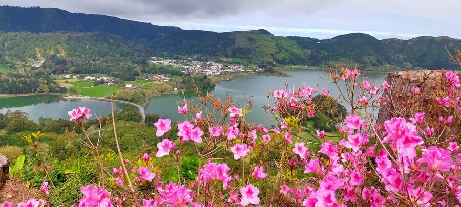 Ponta Delgada: Sete Cidades Volcano Lakes Shore Excursion - Key points to know before you book