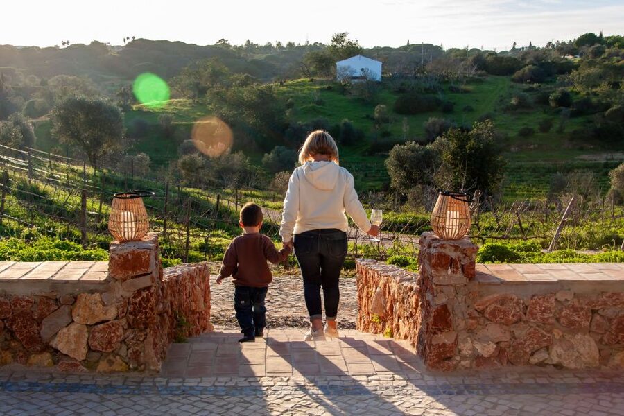 Porches: Algarve Vineyard Tour and Wine Tasting Experience - Practical advice for a better visit