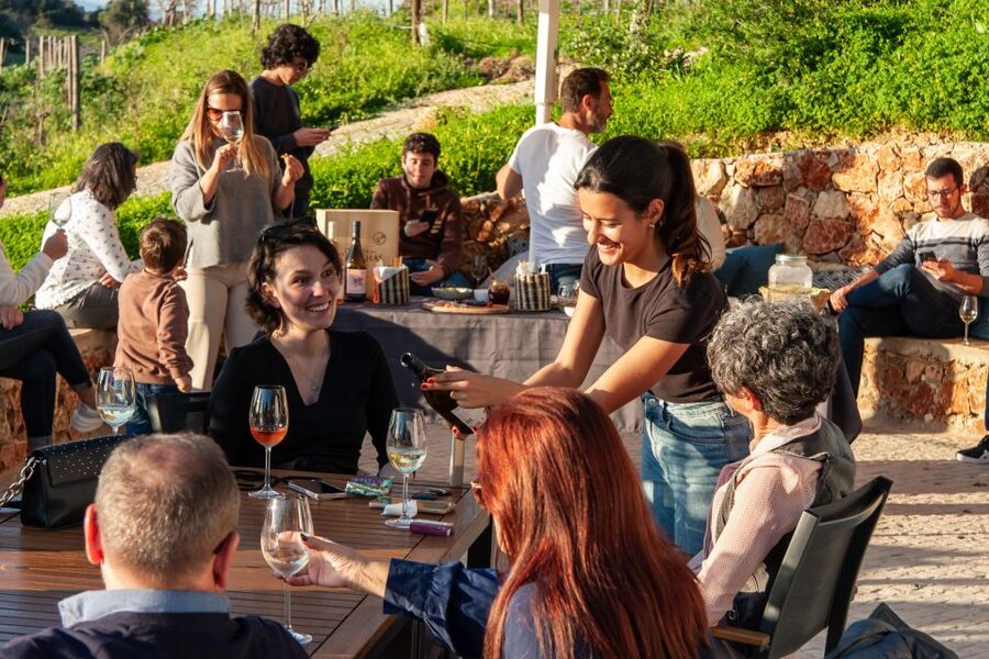 Porches: Algarve Vineyard Tour and Wine Tasting Experience - Local tapas make this more than a few sips