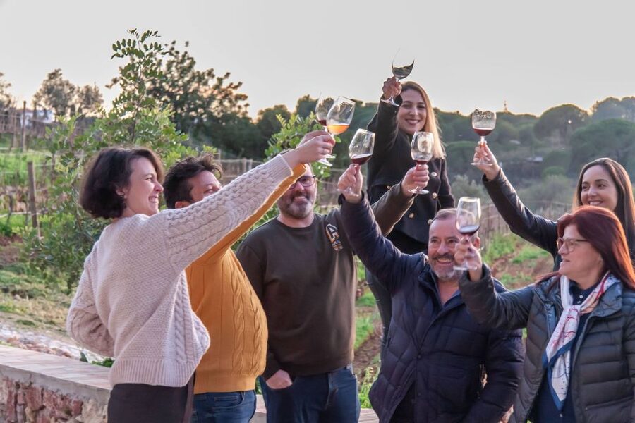 Porches: Algarve Vineyard Tour and Wine Tasting Experience - Driving to the meeting point near Porches
