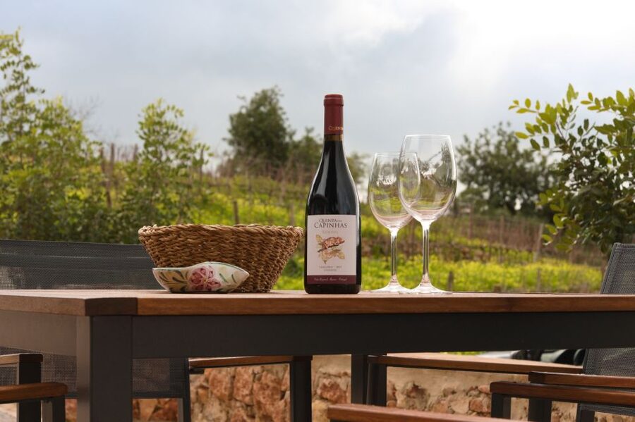 Porches: Algarve Vineyard Tour and Wine Tasting Experience - Is $91 a fair price?