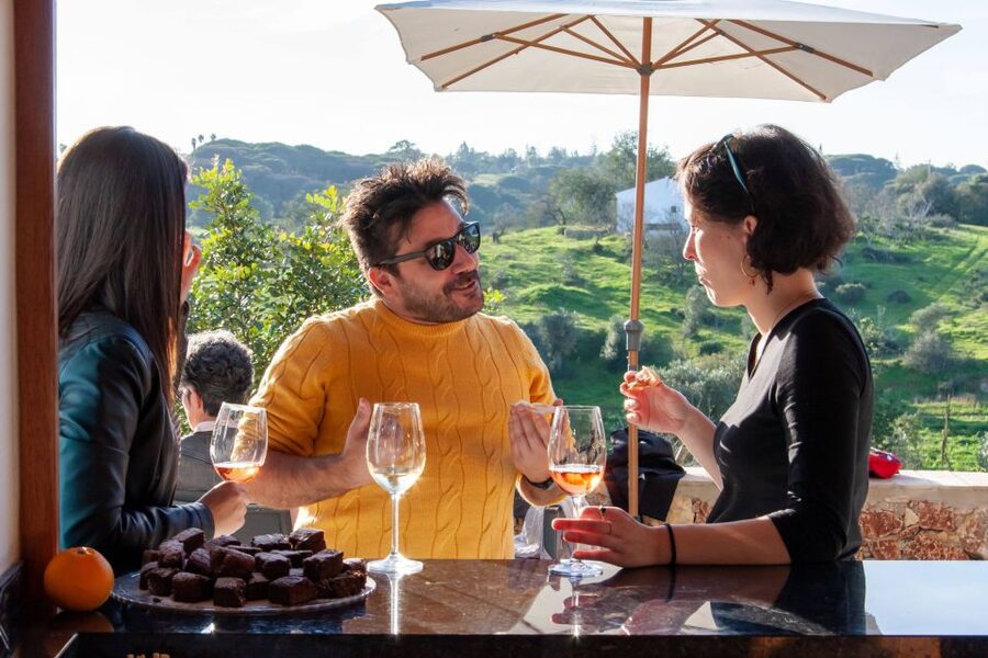 Porches: Algarve Vineyard Tour and Wine Tasting Experience - Who will enjoy this wine tasting most