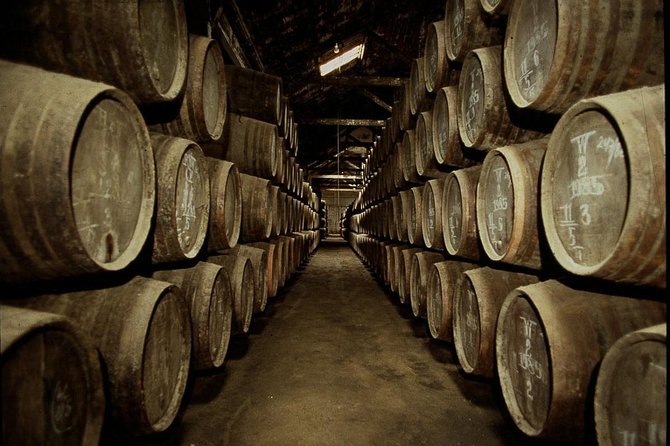 Port Wine Lodges Tour Including 7 Port Wine Tastings (English) - From the D. Luis Bridge to Vila Nova de Gaia