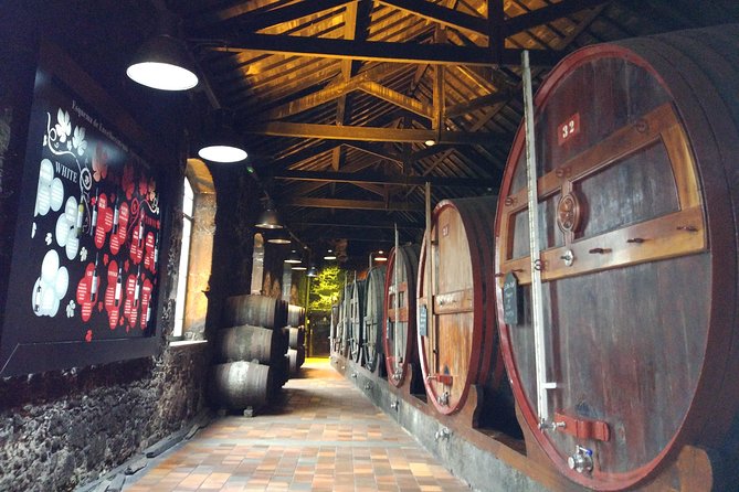 Port Wine Lodges Tour Including 7 Port Wine Tastings (English) - Is the walking manageable?
