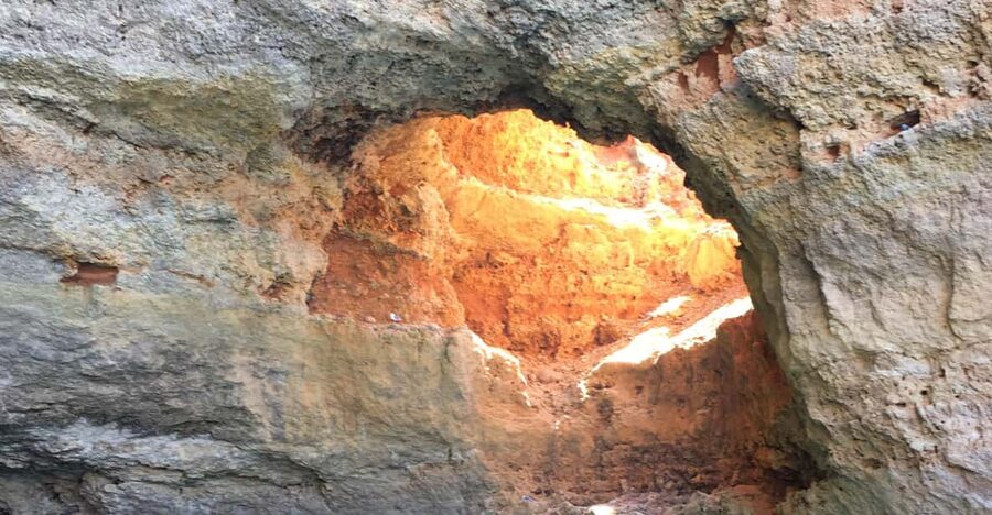 Portimão: Caves, Benagil and Algarve Coastline Boat Tour - Swimming and snorkeling in clear Algarve water