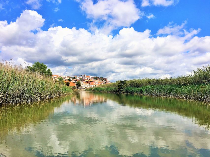 Portimão: Silves & Arade River History Tour on a Solar Boat - Who will enjoy this Arade River outing?