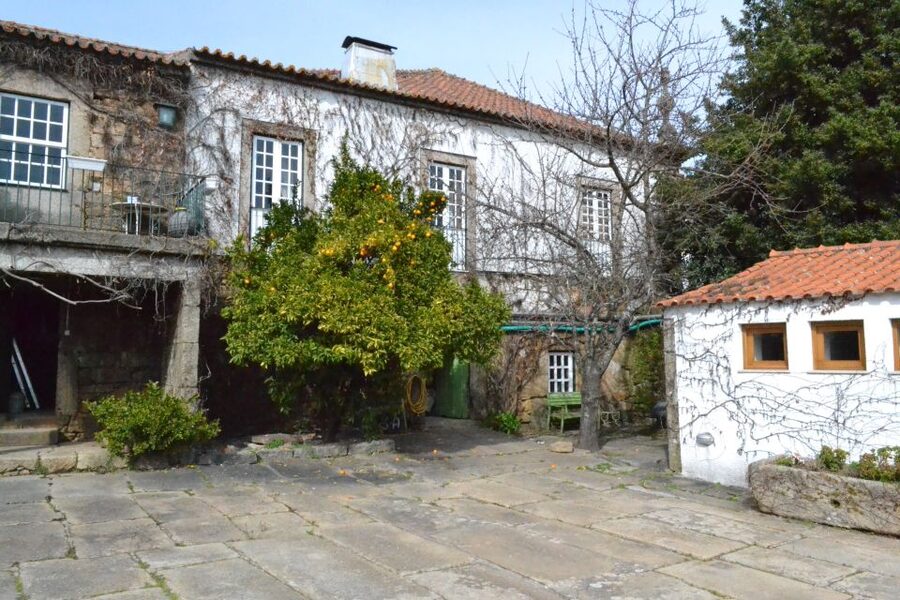 Porto: 3 Douro Valley Vineyards Tour with Lunch - Key points at a glance