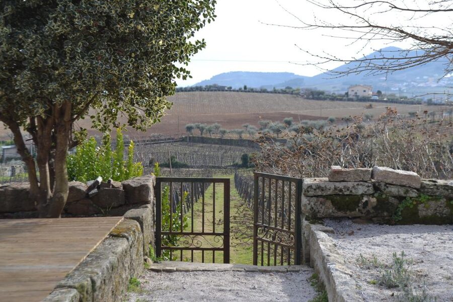 Porto: 3 Douro Valley Vineyards Tour with Lunch - Practical details before you book