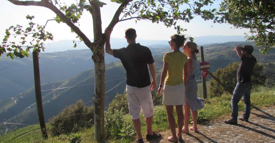 Porto: 3 Douro Valley Vineyards Tour with Lunch - First vineyard: family wine and a close-up introduction