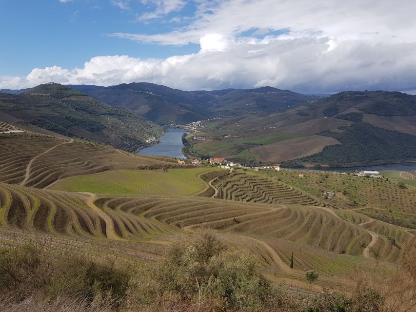 Porto: 3 Douro Valley Vineyards Tour with Lunch - The second estate: views, quiet spaces, and lunch