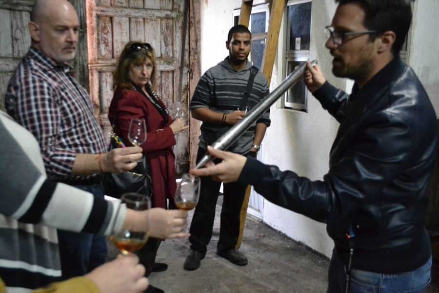 Porto: 3 Douro Valley Vineyards Tour with Lunch - Group size, guide style, and comfort