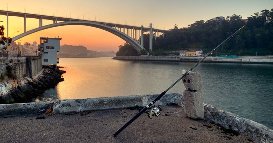Porto: 3-Hour Bike Tour - What the $57 price gives you