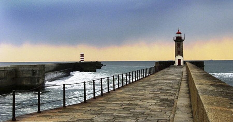 Porto: 3-Hour Bike Tour - City Park gives the ride room to breathe