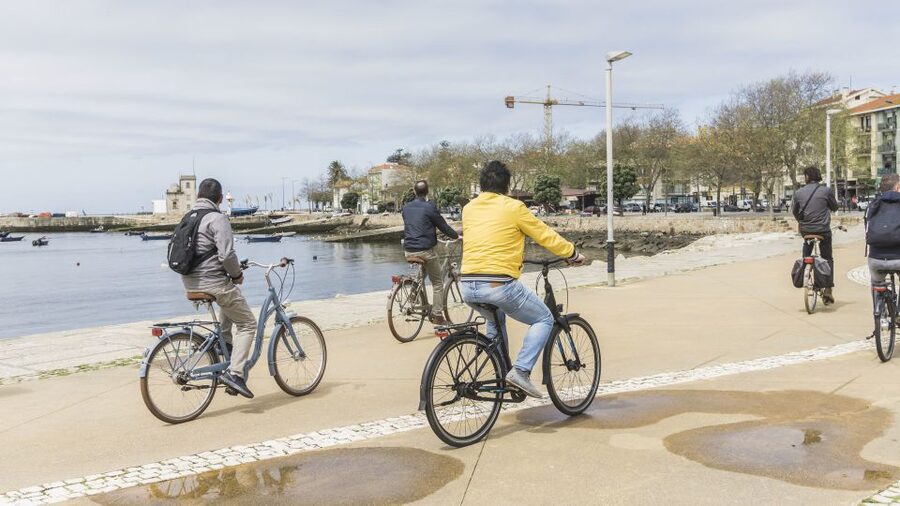 Porto: 3-Hour Bike Tour - Calém Garden and the return to Biclas & Triclas