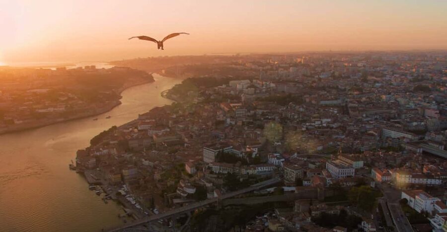 Porto: 5D Flight over de City for all family. - Porto sightseeing from a dragon’s-eye view