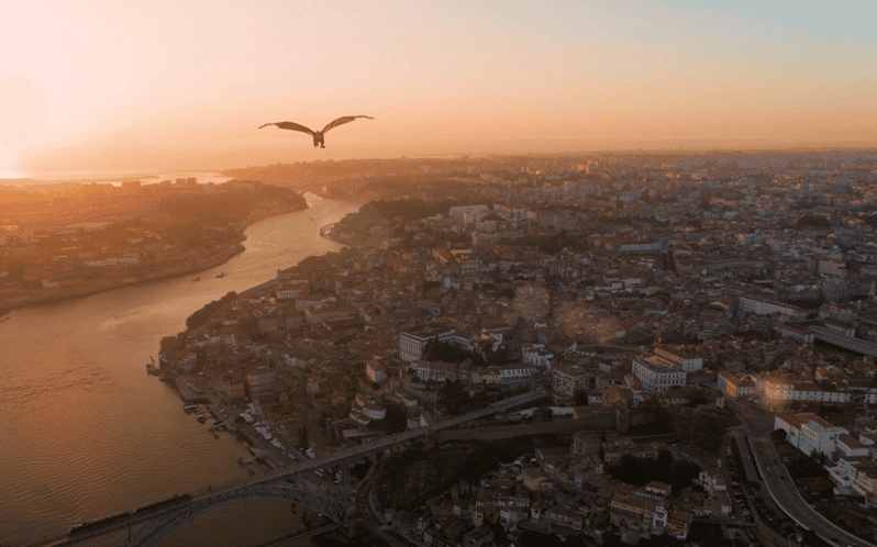 Porto: 5D Flight over de City for all family. - The wind and motion effects