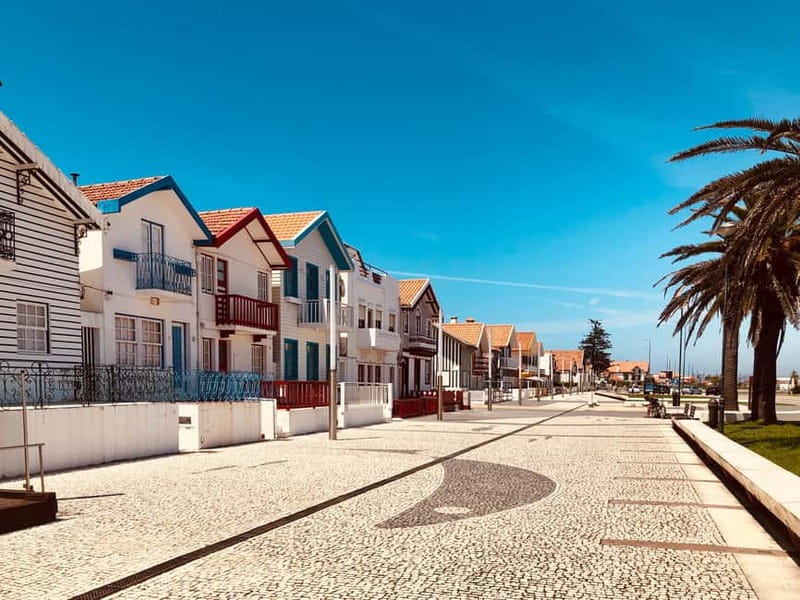 Porto:Aveiro, Cruise, Costa Nova & Capelha da Pedra Full Day - Timing, group rhythm, and guide quality