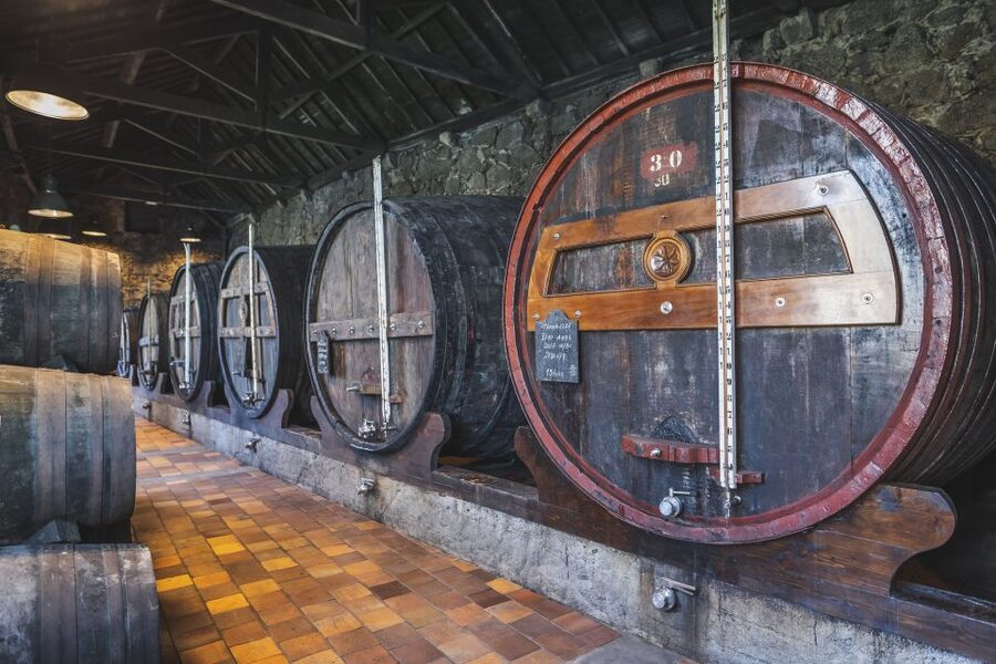Porto: Burmester Cellar Tour with Tasting & Pairing Options - Key points to know before booking