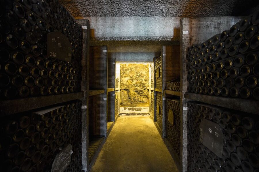 Porto: Burmester Cellar Tour with Tasting & Pairing Options - Should you book the Burmester Cellar Tour?