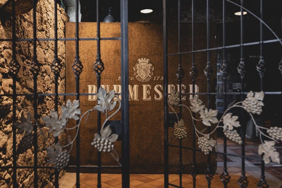 Porto: Burmester Cellar Tour with Tasting & Pairing Options - What happens during the 25-minute cellar tour