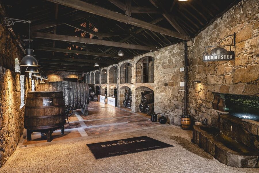 Porto: Burmester Cellar Tour with Tasting & Pairing Options - Group size, sound, and the pace of the experience