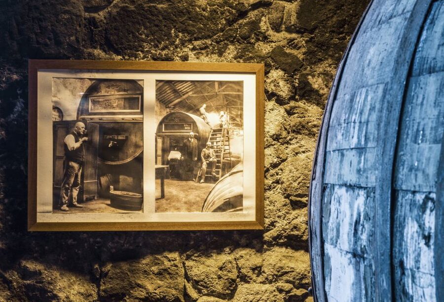 Porto: Burmester Cellar Tour with Tasting & Pairing Options - Is the $25 price good value?