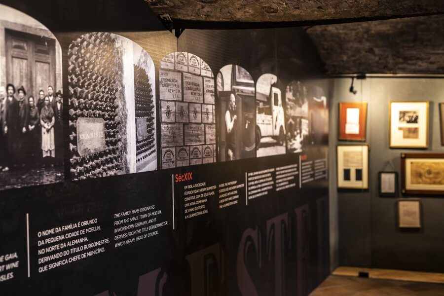 Porto: Burmester Cellar Tour with Tasting & Pairing Options - Who will enjoy Burmester most?