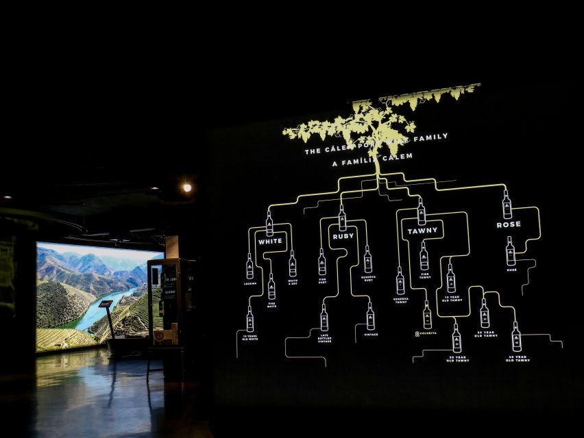 Porto: Cálem Cellar Tour, Interactive Museum & Wine Tasting - Starting with the interactive Douro museum