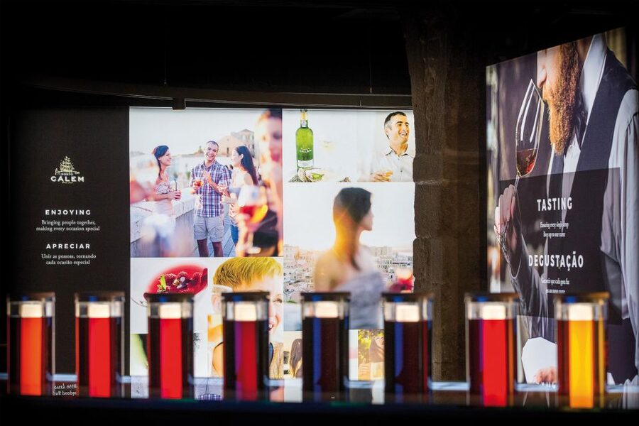Porto: Cálem Cellar Tour, Interactive Museum & Wine Tasting - What you learn about the Douro region