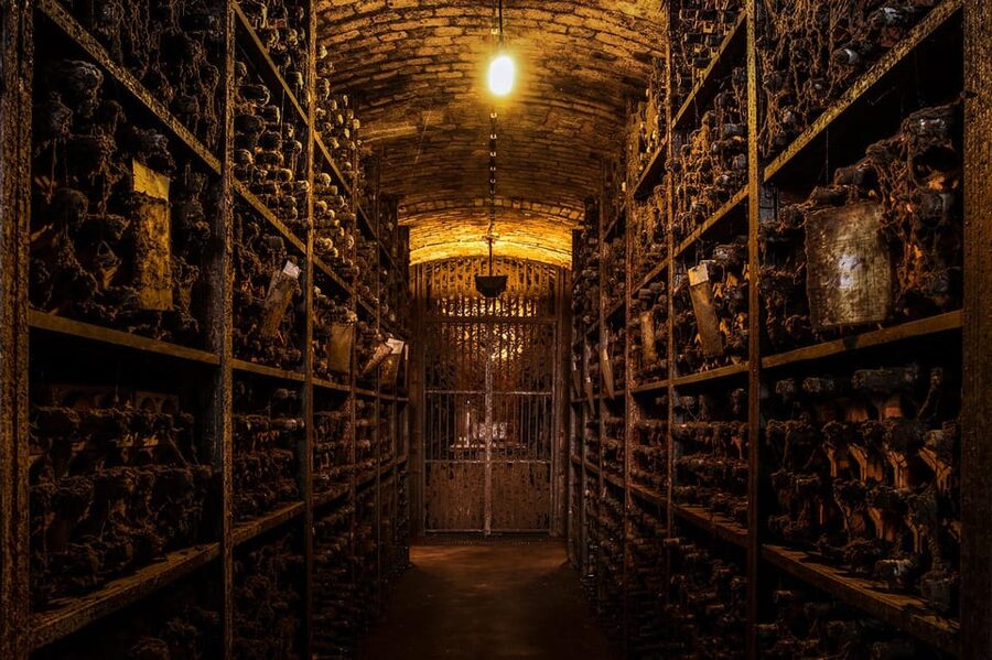 Porto: Carvalhas cellar tour at Real Companhia Velha - Why this Gaia cellar visit feels different
