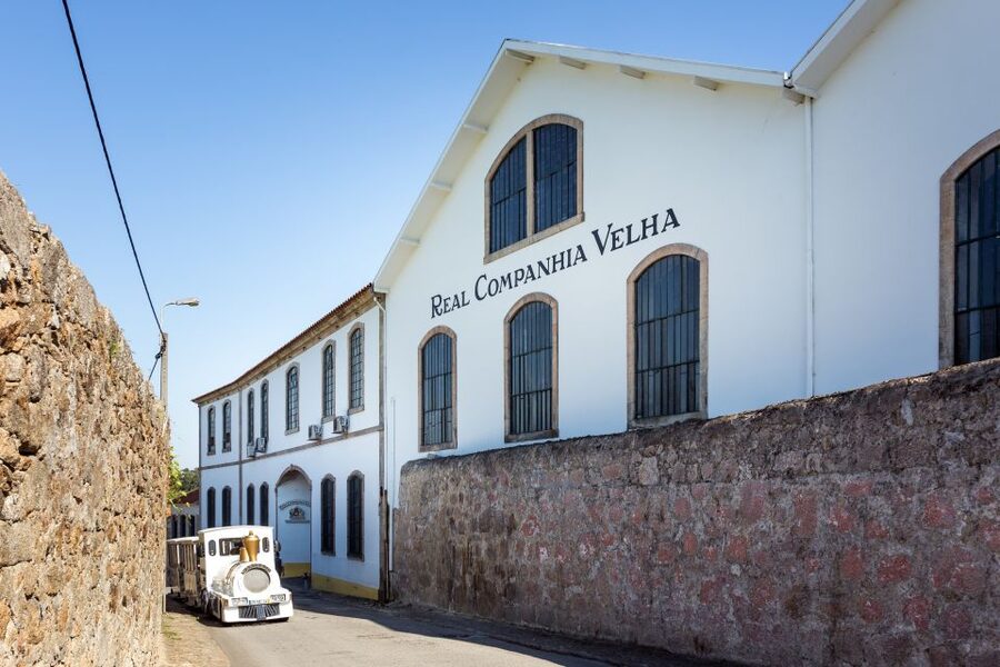 Porto: City Train Tour, River Cruise & Wine Cellar - The Douro cruise and Porto’s six bridges