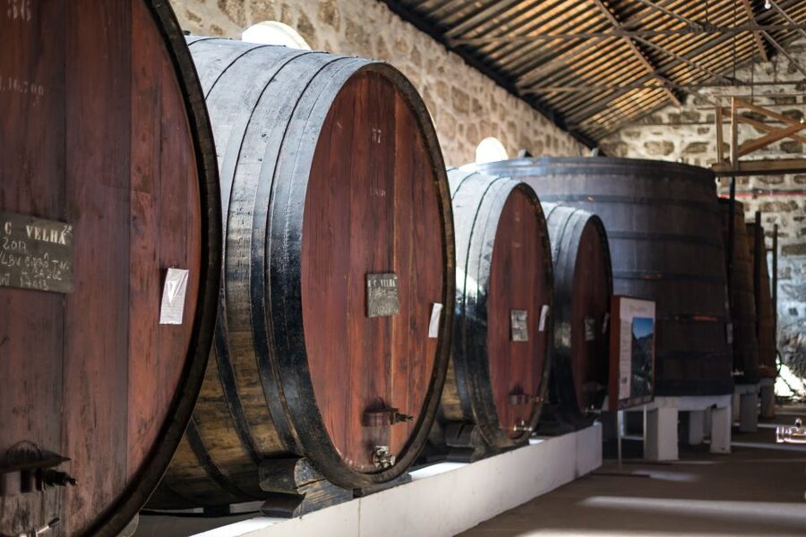 Porto: City Train Tour, River Cruise & Wine Cellar - Value, comfort, and who should book