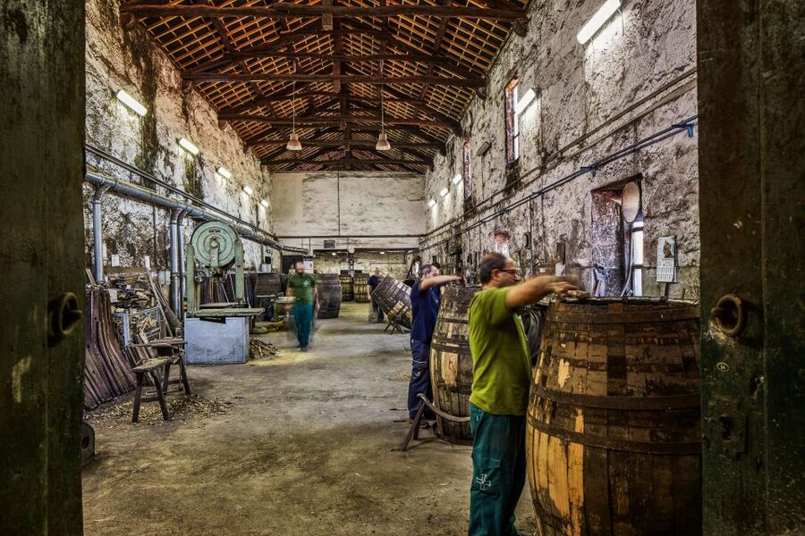 Porto: Cockburn’s Port Lodge Tour and Tasting - Should you book the Cockburn’s Port Lodge Tour?